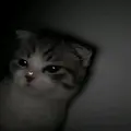 𝑣 𝑖 𝑣 𝑖   