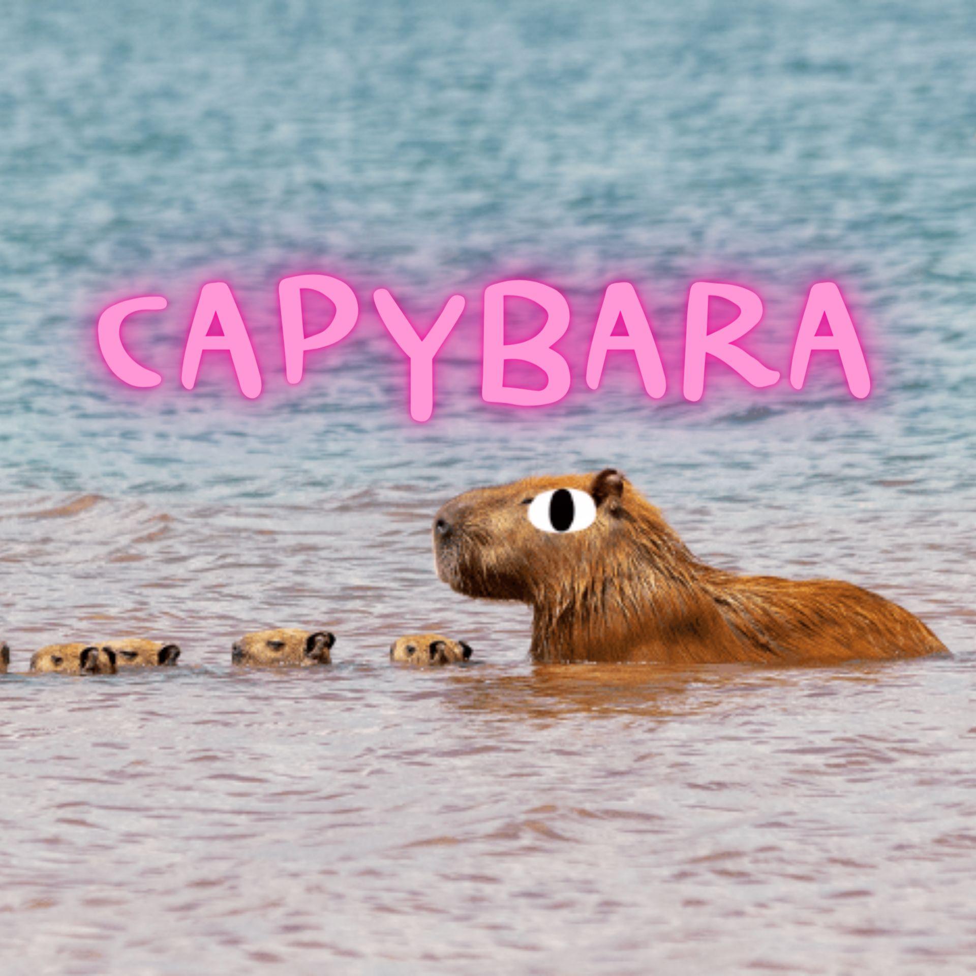 รูปภาพของ Capybara