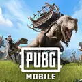 PUBG MOBILE PAKISTAN