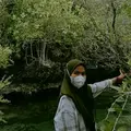 ramajhi31