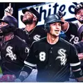 Fernando tatis jr fan