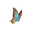  BUTTERFLY 628