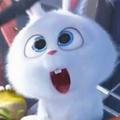 fumi bun