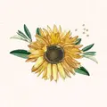 Sunflower 769