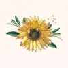 Sunflower 769-avatar