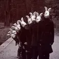 Bug  591