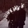 Bug  591-avatar