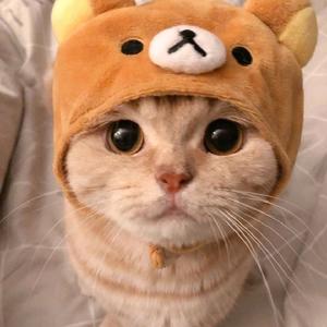 CUTEGIRL【MP】-avatar