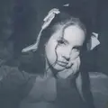 moon5855