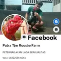 PUTRA TJM ROOSTERFARM